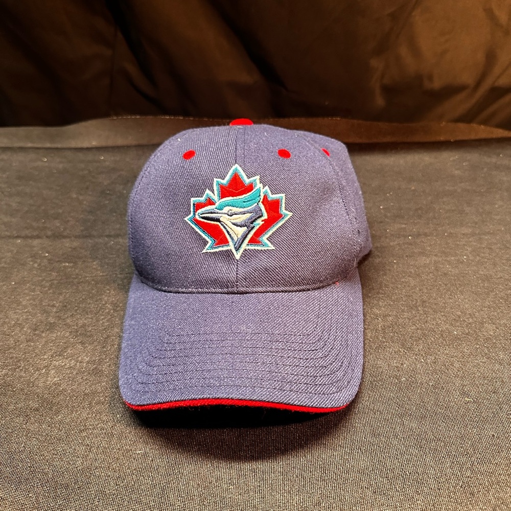Vintage American needle BlueJays Baseball Cap with Red Accents